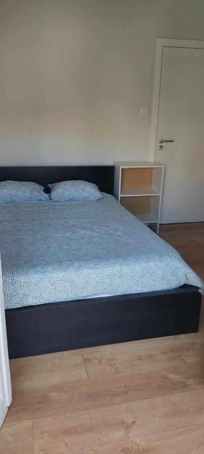 Guesthouse Porto Serpa Pinto Екстериор снимка